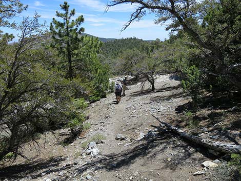 Wildhorse Loop Trail