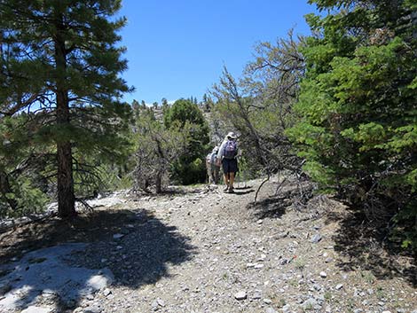 Wildhorse Loop Trail