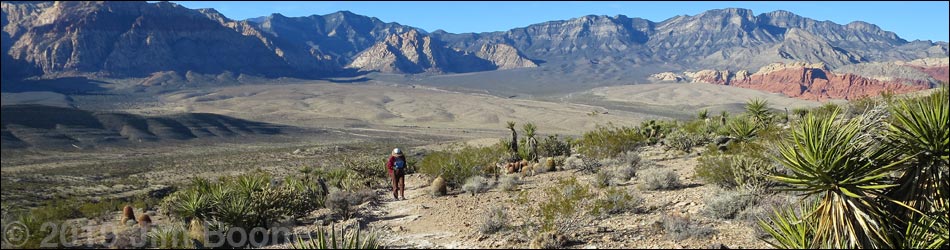 Cat-N-Hat Trail