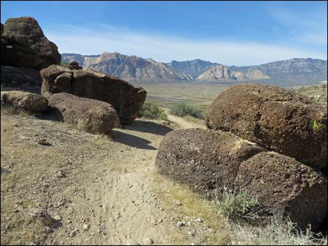 Fossil Trail