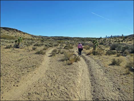 Fossil Trail