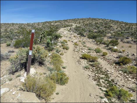 Jeep Trail