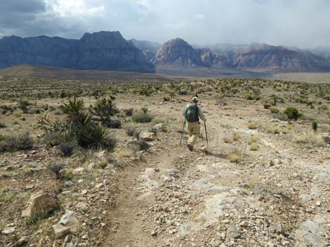 Jeep Trail