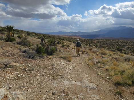 Jeep Trail