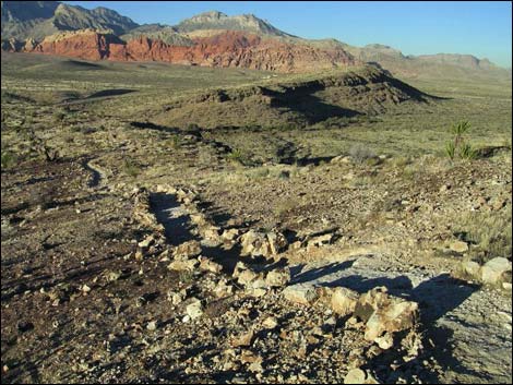 Rock Garden Trail