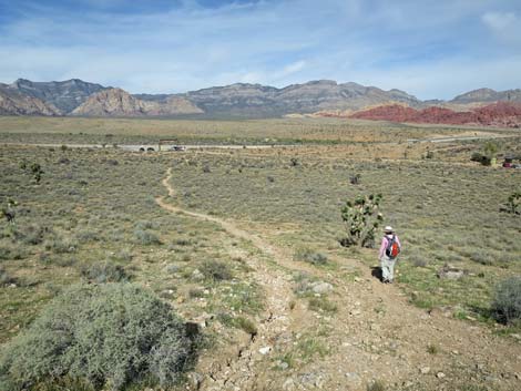 Rock Garden Trail