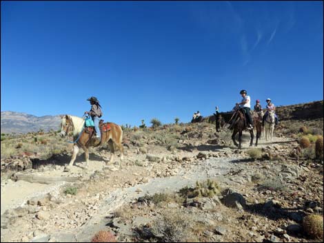 Rock Garden Trail