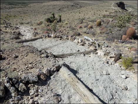 Rock Garden Trail