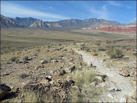 Rock Garden Trail