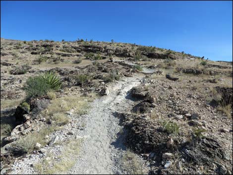 Rock Garden Trail