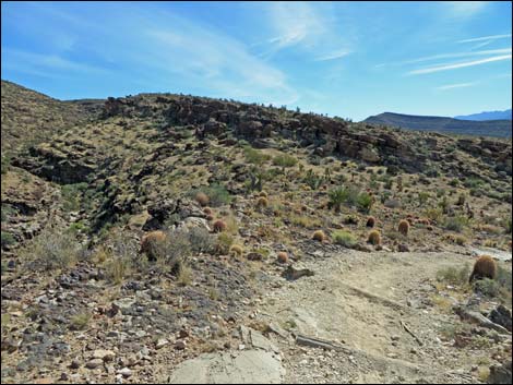 Rock Garden Trail