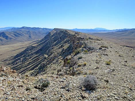 Birdspring Peak