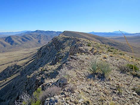 Birdspring Peak