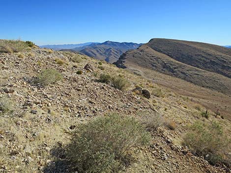 Birdspring Peak