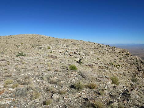 Birdspring Peak