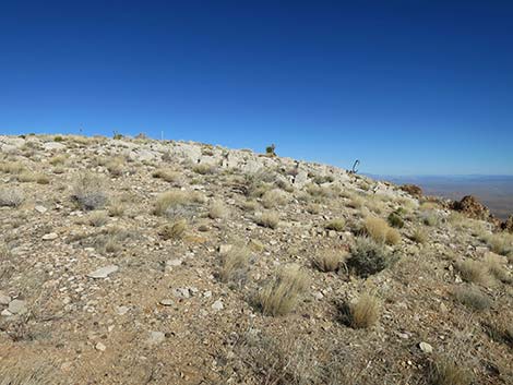 Birdspring Peak