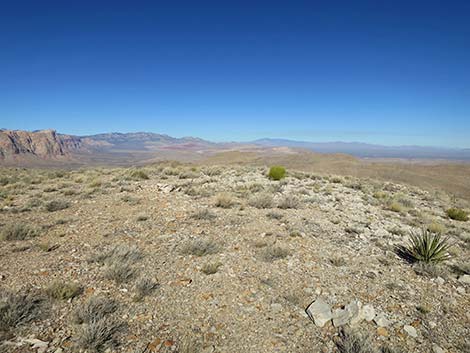 Birdspring Peak