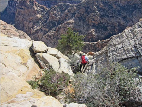 Bridge Mountain