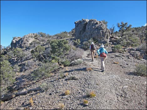 Bridge Mountain Trail