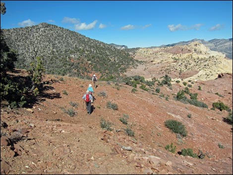 Bridge Mountain Trail