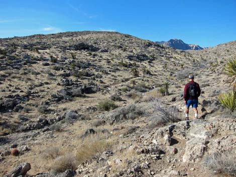 Ridgeline Loop Trail