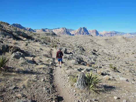 Ridgeline Loop Trail