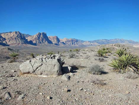 Ridgeline Loop Trail