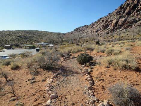 Calico Basin Trail