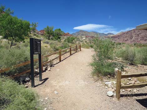 Calico Basin Trail