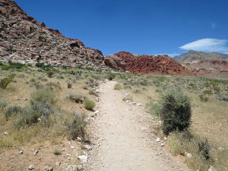 Calico Basin Trail