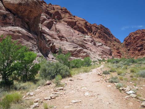 Calico Basin Trail