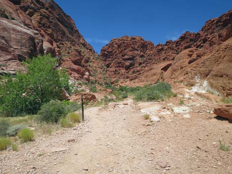 Calico Basin Trail