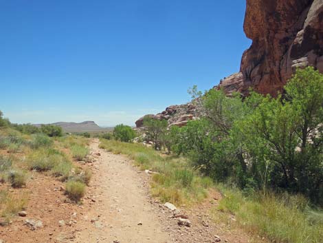 Calico Basin Trail