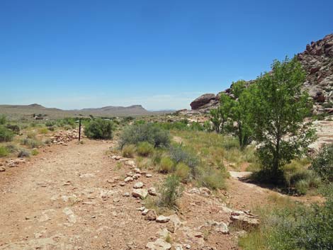 Calico Basin Trail