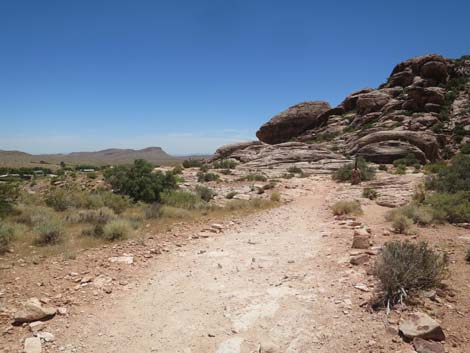 Calico Basin Trail