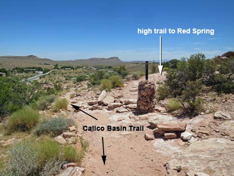 Calico Basin Trail