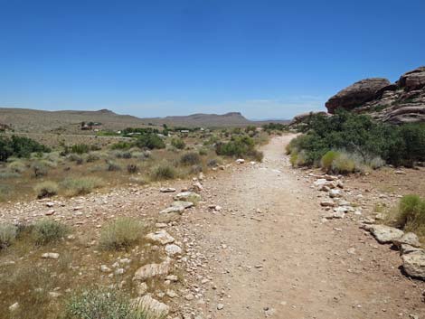Hiking Around Las Vegas, Red Rock Canyon NCA, Calico Basin Trail-Southbound