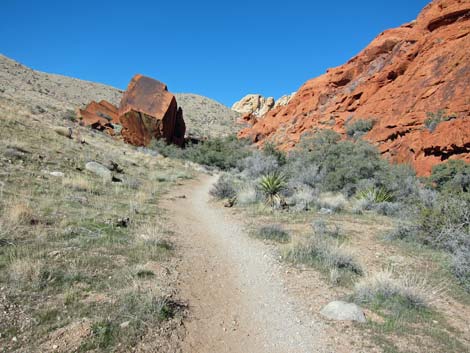 Calico Hills Loop