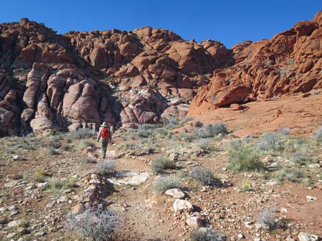 Calico Hills Loop