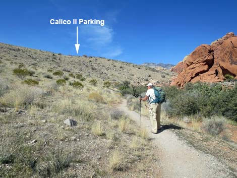 Calico Hills Loop Trail