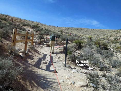 Calico Hills Loop Trail