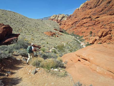 Calico Hills Loop Trail