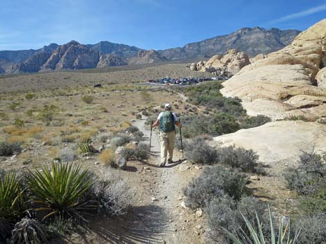 Calico Hills Loop Trail