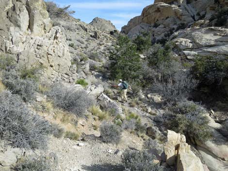 Calico Hills Loop Trail