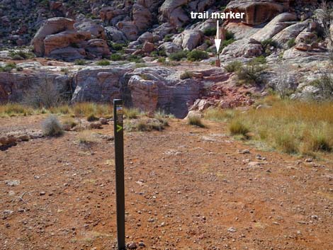 Calico Basin Trail