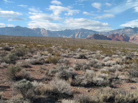 Gun Range Ridge Loop