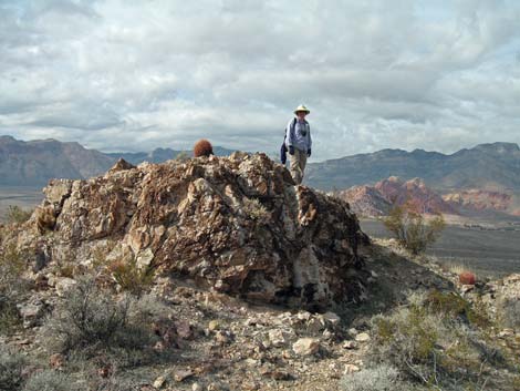 Fire Station Hill Trail