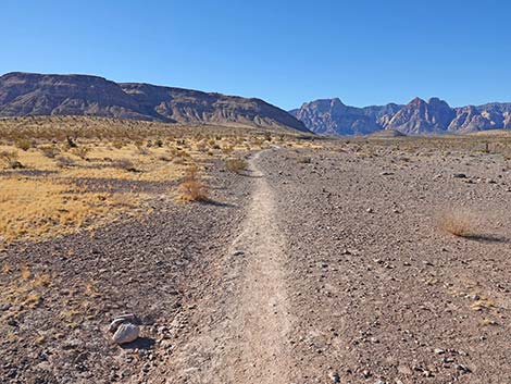 Fire Station Hill Trail