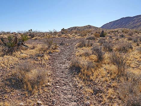 Fire Station Hill Trail