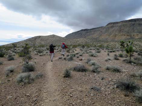 Fire Station Hill Trail